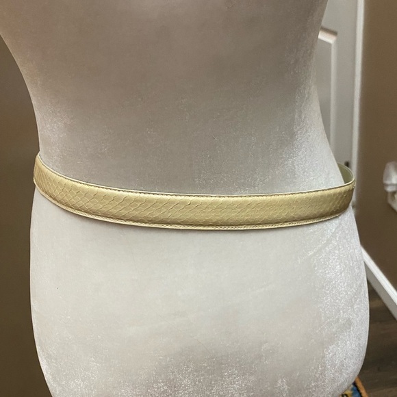 Leather Shop 1988 Vintage Genuine Snake Skin Belt Gold Buckle 80s Disco retro main image 6